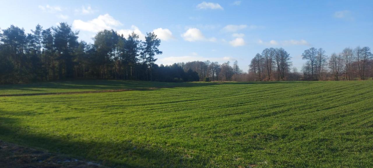 Domek Do Wynajecia - Siedlisko Przy Lesie Rzasnik Buitenkant foto